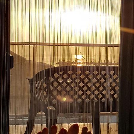 Apartament Andy Mamaia Nord 30 M De Plaja Navodari Ngoại thất bức ảnh