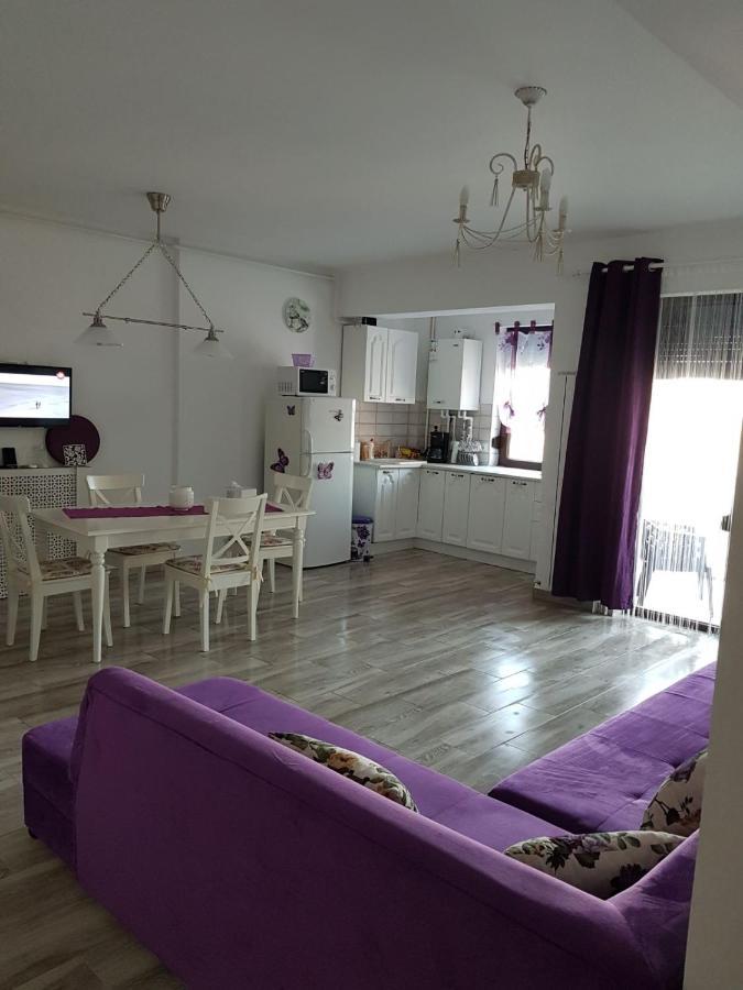 Apartament Andy Mamaia Nord 30 M De Plaja Navodari Ngoại thất bức ảnh